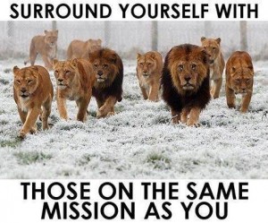 Lions mastermind