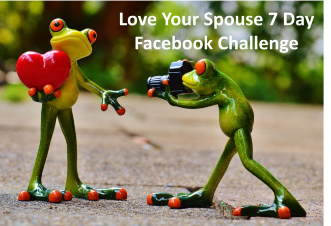 Frog Spouse coaching challenge